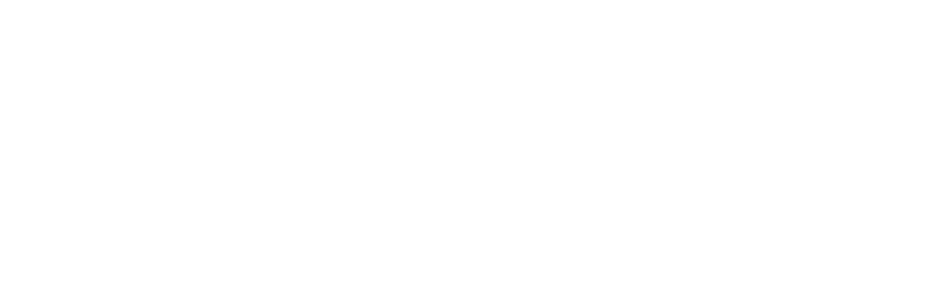 Exceptional Service 2024 - Inverse - Landscape.png
